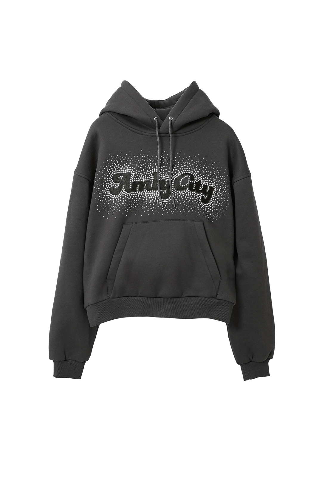 AmlyCity ラインストーンフーディー ラインストーンフーディー – AmlyCity